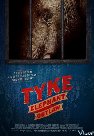 Tyke: Chú Voi Nổi Loạn - Tyke: Elephant Outlaw