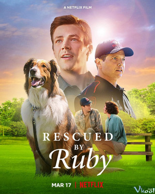Chó Cứu Hộ Ruby - Rescued By Ruby