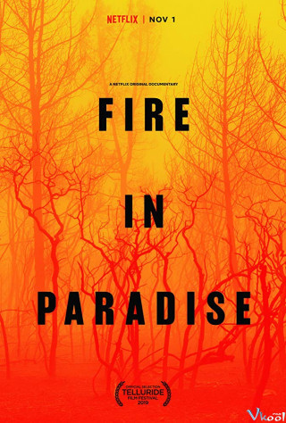 Hỏa Hoạn Tại Paradise - Fire In Paradise