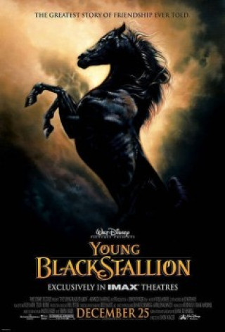 Chú Ngựa Ô Choai - The Young Black Stallion